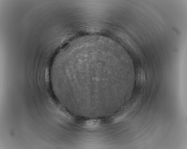 X0000110320700200906042044