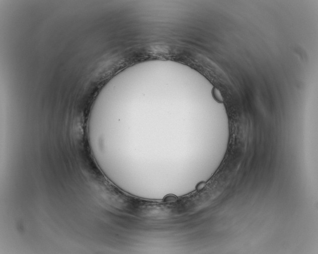 X0000110320702200906042044