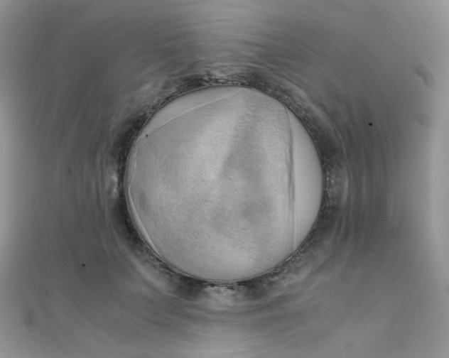 X0000110320703200906042044