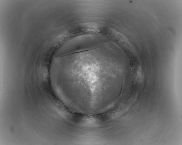 X0000110320704200906042044