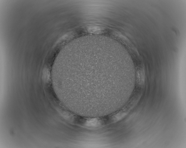 X0000110320705200906042044