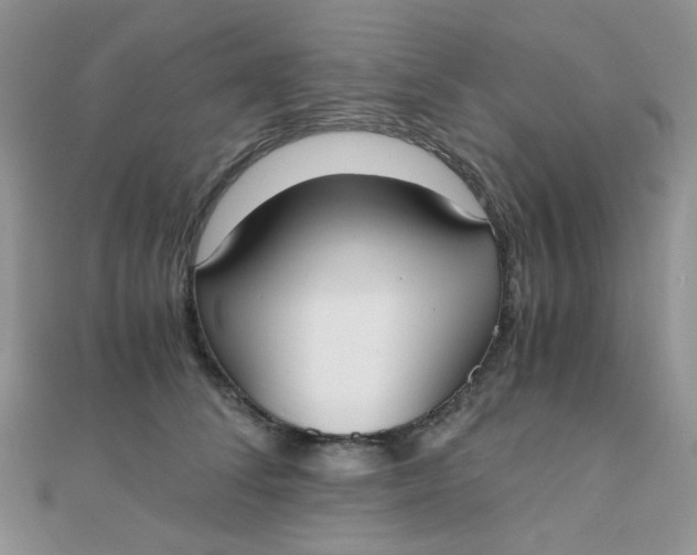 X0000110320708200906042044