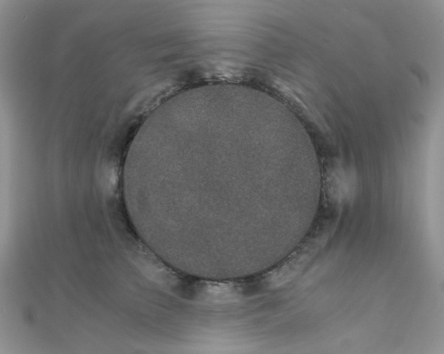 X0000110320709200906042044