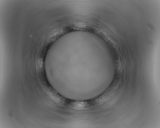 X0000110320711200906042044