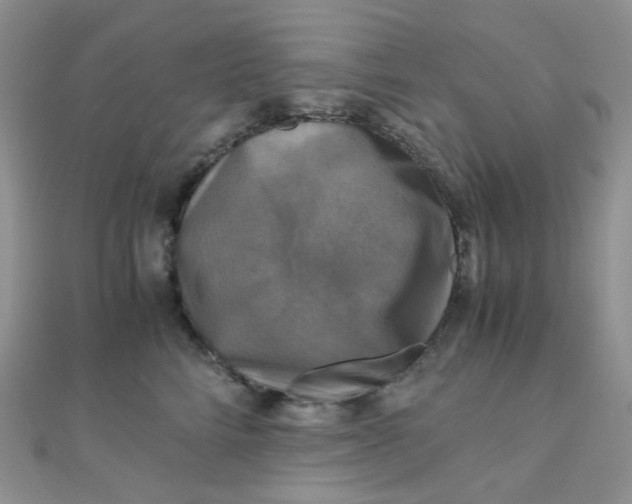 X0000110320712200906042044