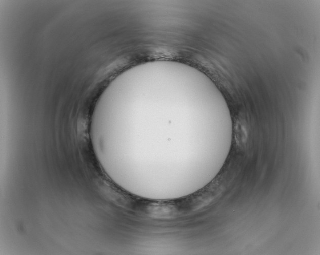 X0000110320714200906042043