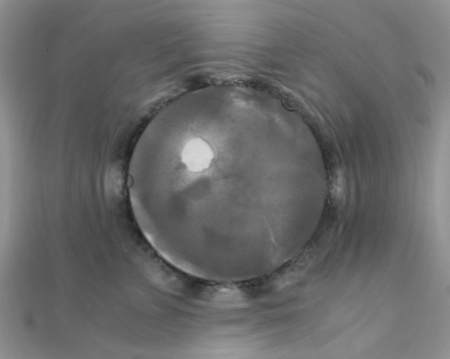 X0000110320715200906042043