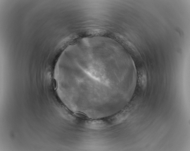 X0000110320716200906042043