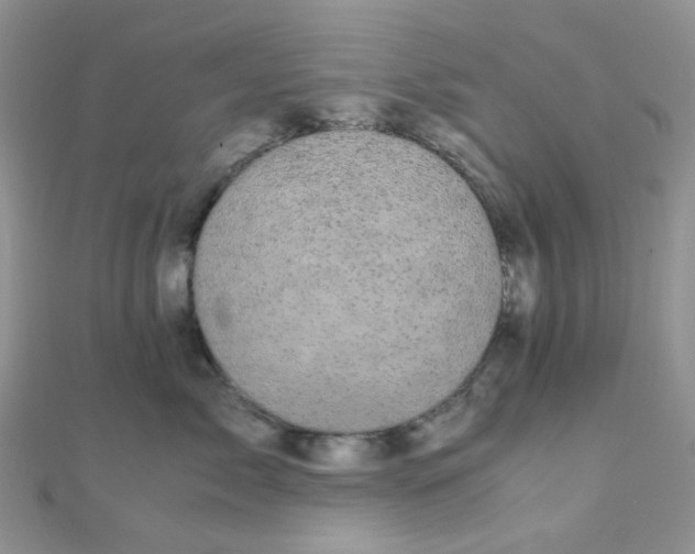 X0000110320717200906042043