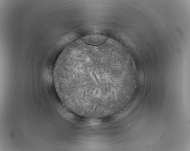 X0000110320719200906042043