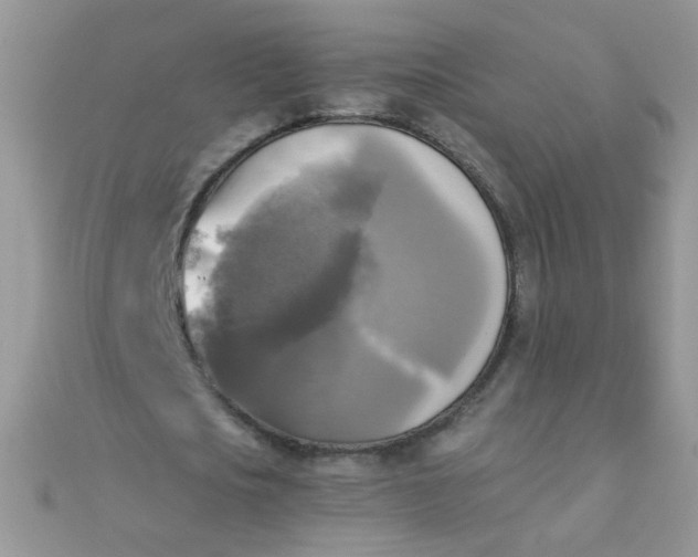 X0000110320721200906042043