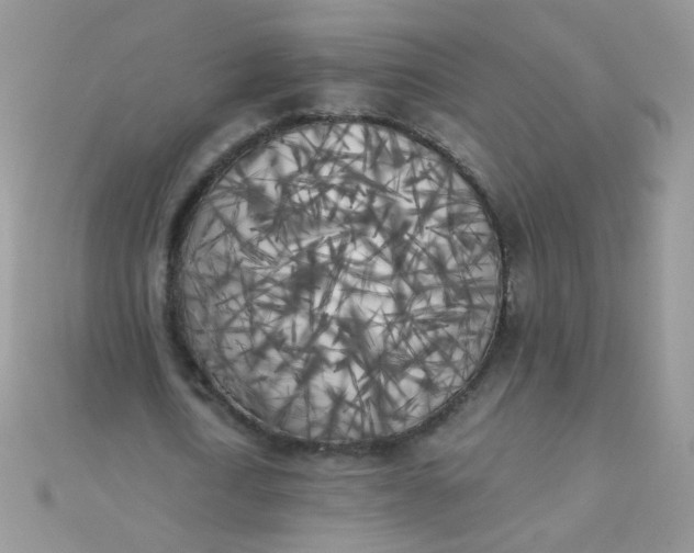 X0000110320722200906042043