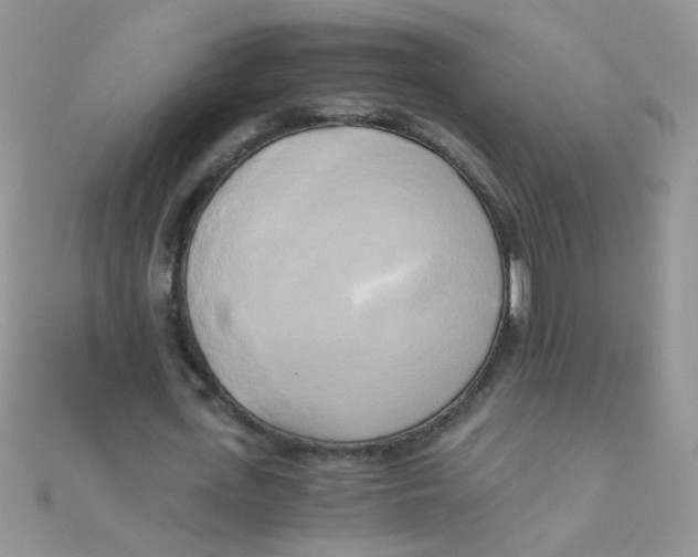 X0000110320723200906042043