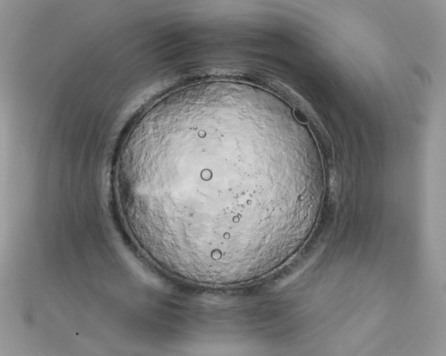 X0000110320725200906042043