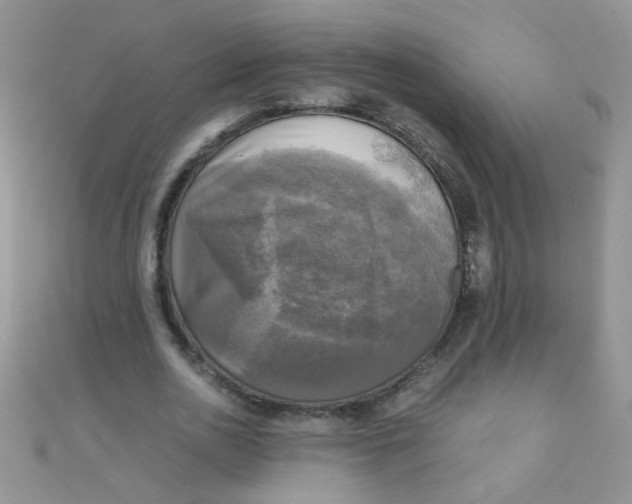 X0000110320726200906042043