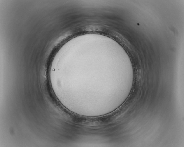 X0000110320727200906042043