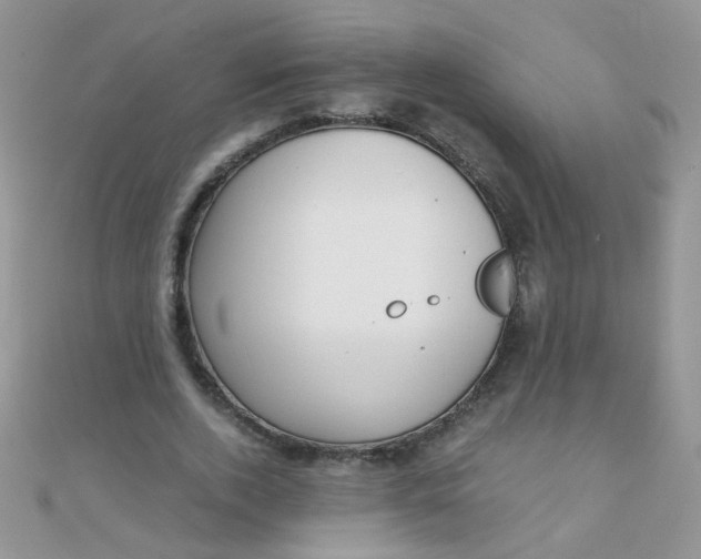 X0000110320728200906042043