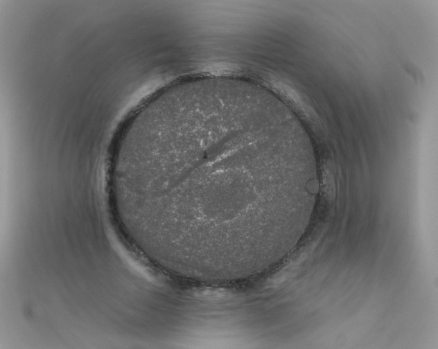 X0000110320730200906042043