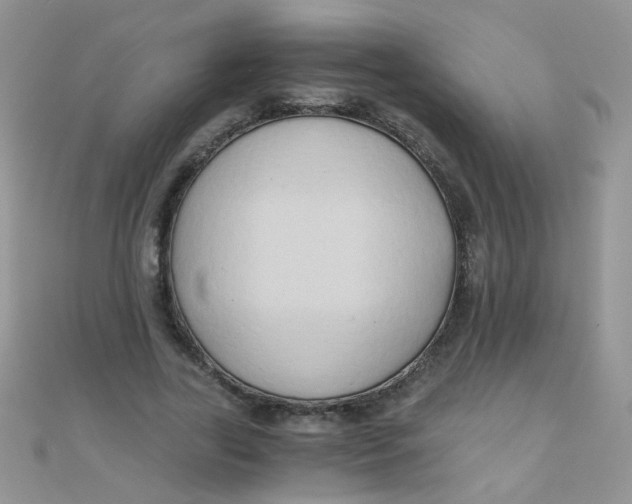 X0000110320731200906042043