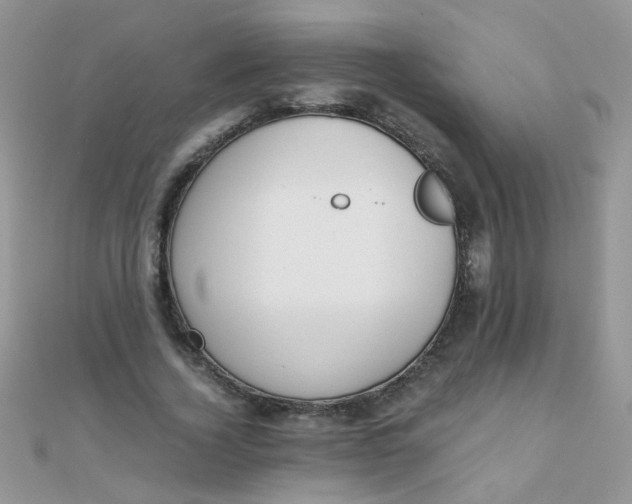 X0000110320732200906042043