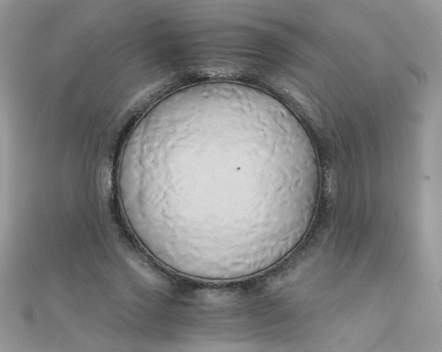 X0000110320733200906042043