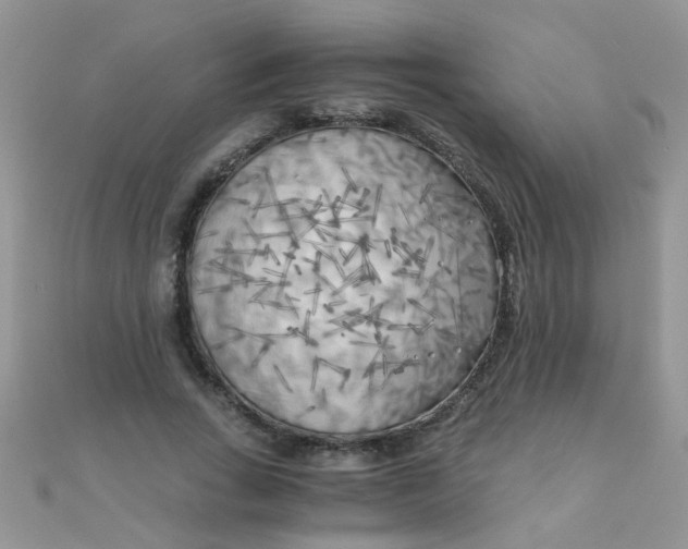 X0000110320735200906042043