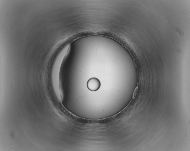 X0000110320736200906042043