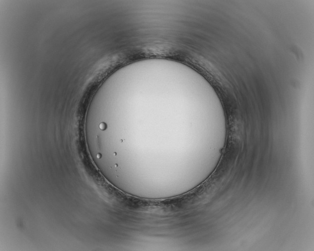 X0000110320738200906042043