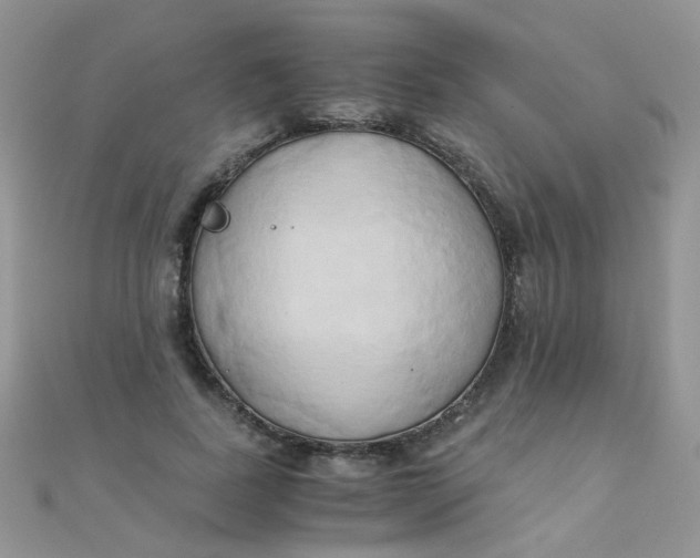 X0000110320739200906042043