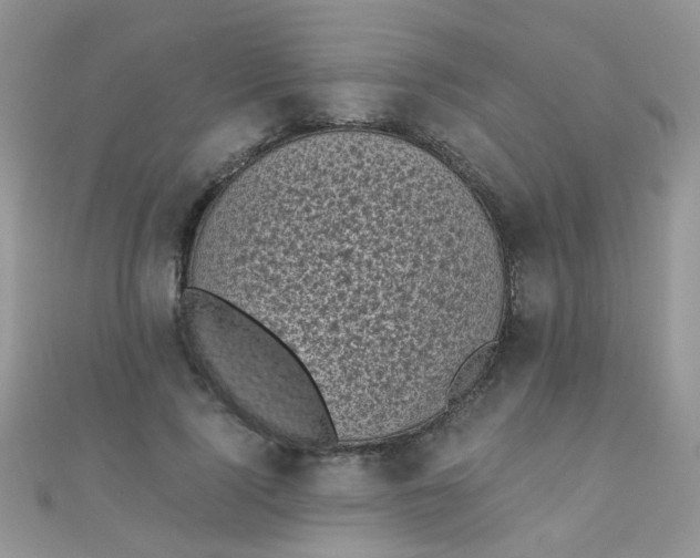 X0000110320740200906042043