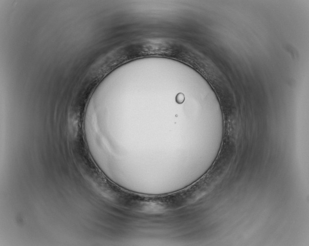 X0000110320741200906042043