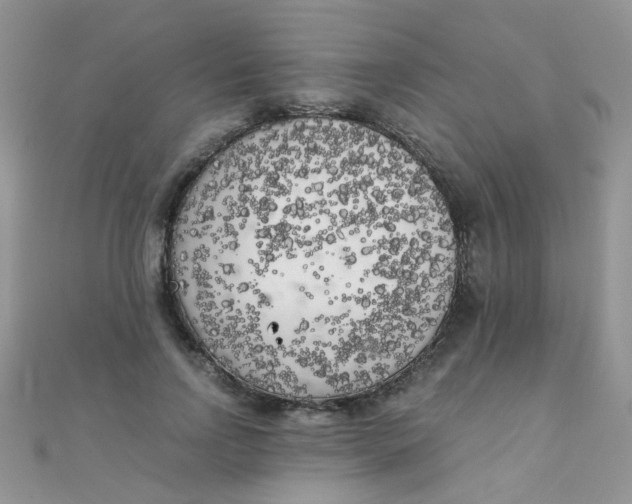 X0000110320742200906042043