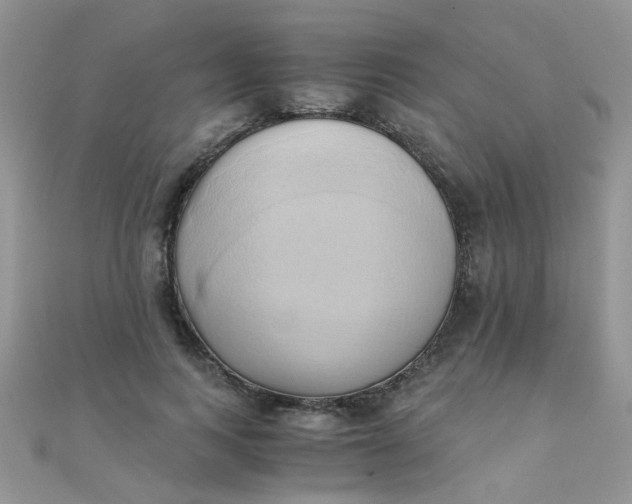 X0000110320743200906042043