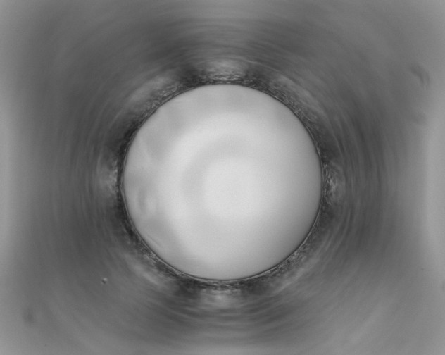 X0000110320745200906042043