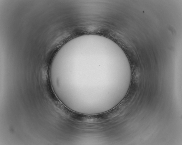 X0000110320746200906042043