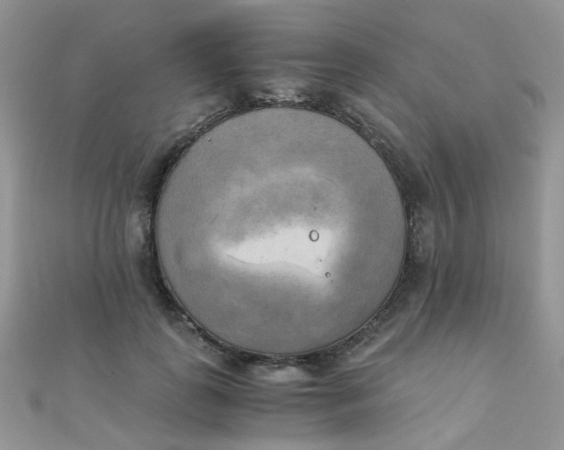 X0000110320747200906042043