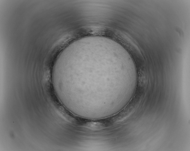 X0000110320748200906042043