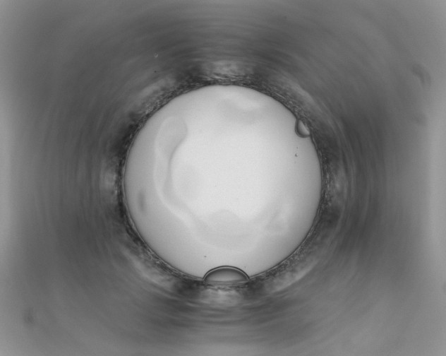 X0000110320749200906042043