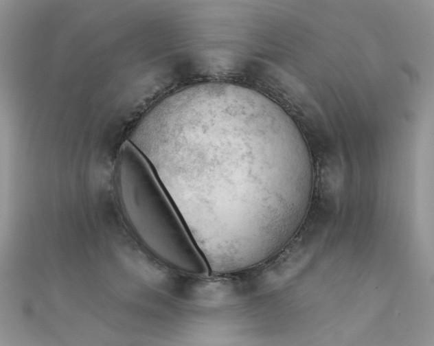 X0000110320750200906042043