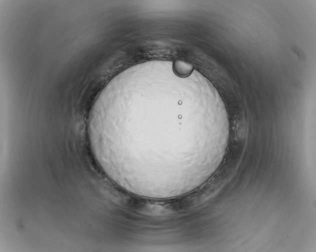 X0000110320753200906042043