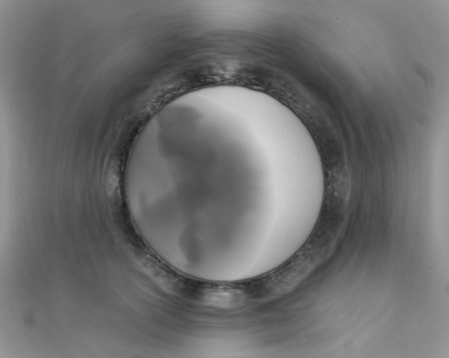 X0000110320754200906042043