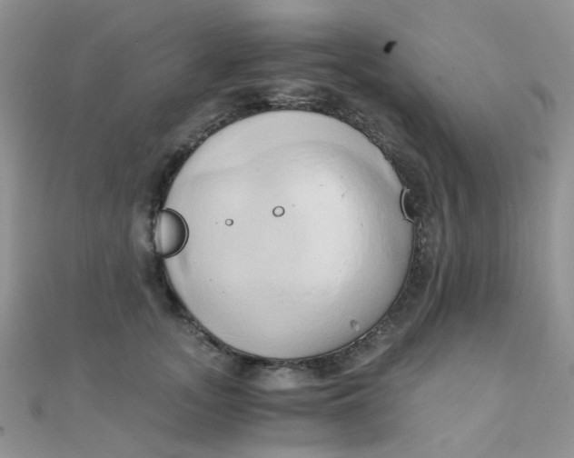 X0000110320755200906042043