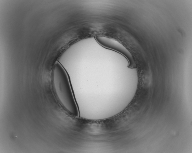 X0000110320756200906042043