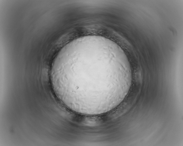 X0000110320757200906042043