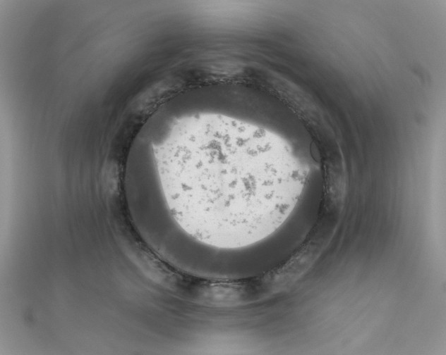 X0000110320758200906042043