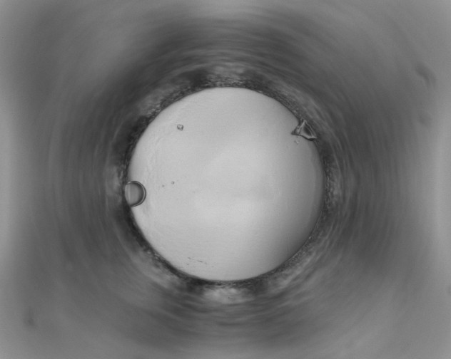 X0000110320759200906042043