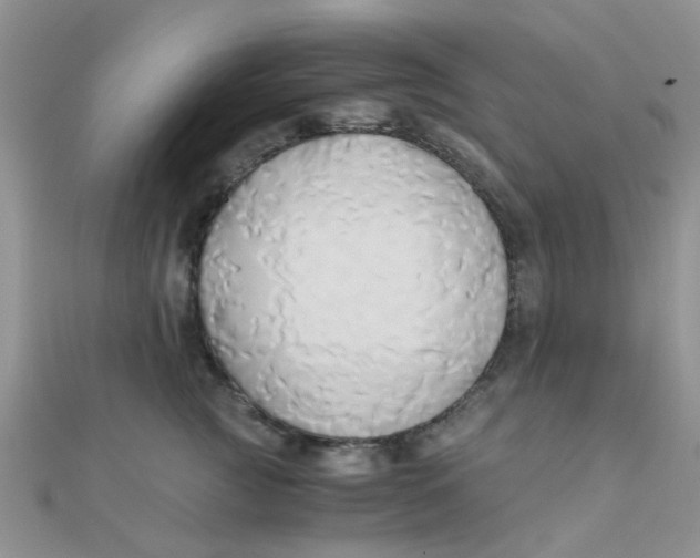 X0000110320761200906042043