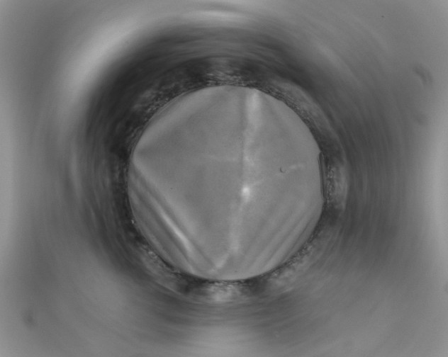 X0000110320762200906042043