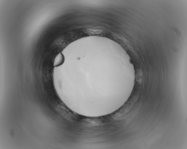 X0000110320763200906042043