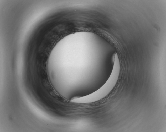 X0000110320764200906042043